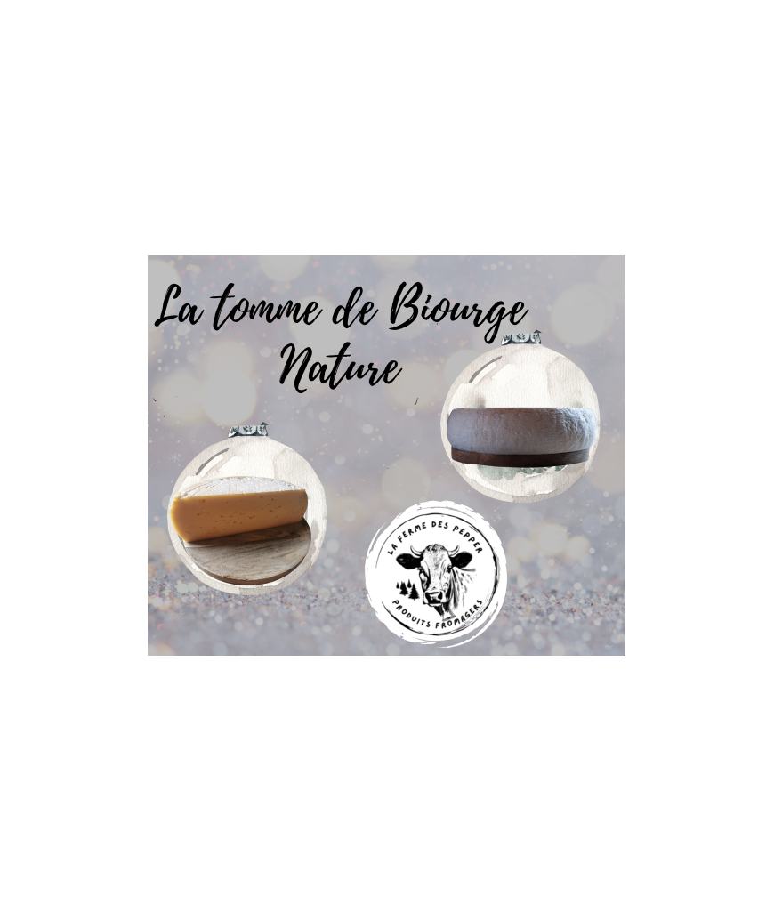 Tome de Biourge nature (tranche épaisse pour apéro environ 200g)