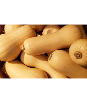 Butternut - kg