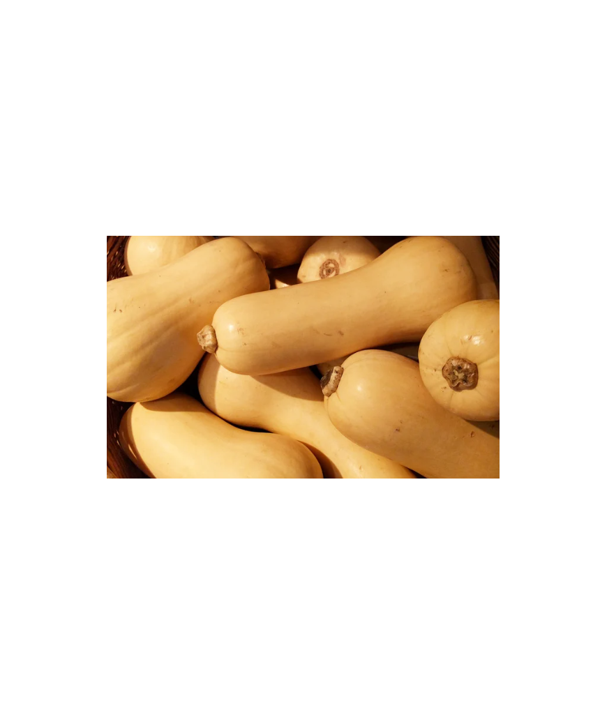 Butternut - kg