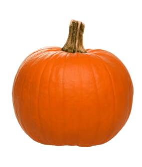 Potimarron - 2kg