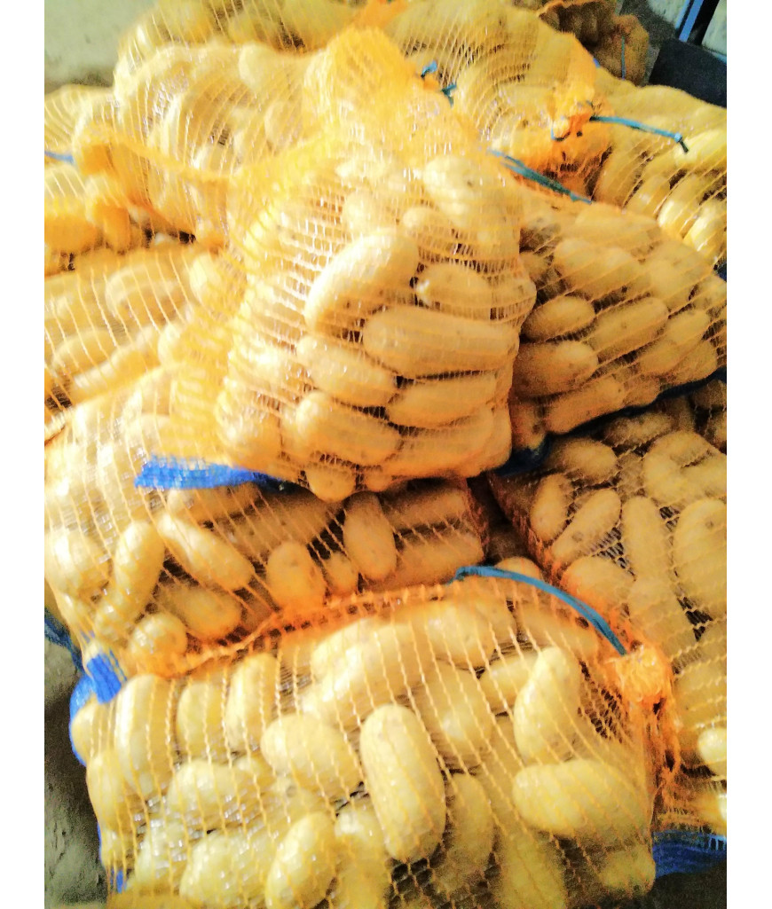 Pommes de terre à chair ferme - 5 kg