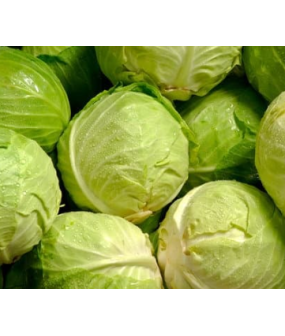 Chou blanc - 2kg