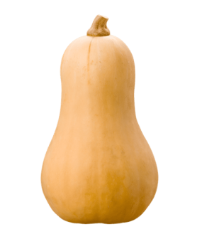 Butternut - 1kg