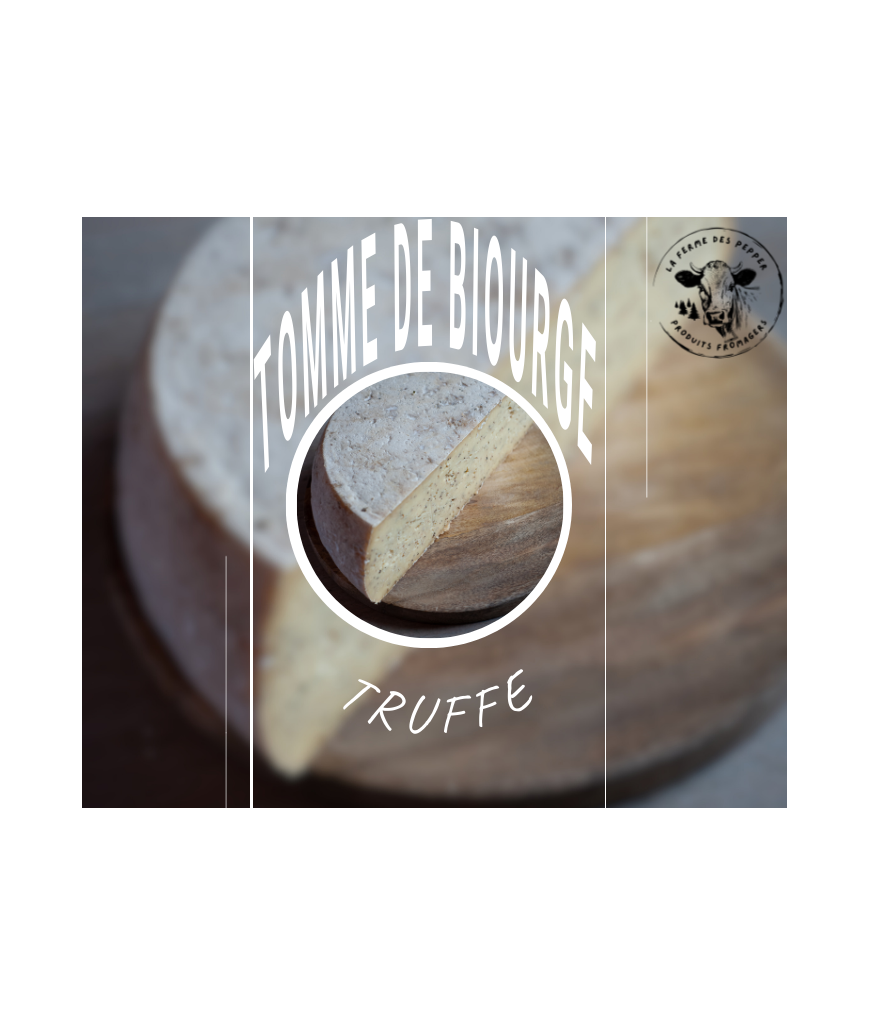 tomme de Biourge truffe
