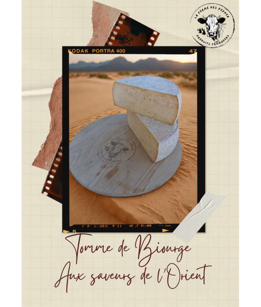 Tome de Biourge saveur orientale (tranche épaisse pour apéro environ 200g)