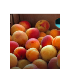 Abricots - 500g