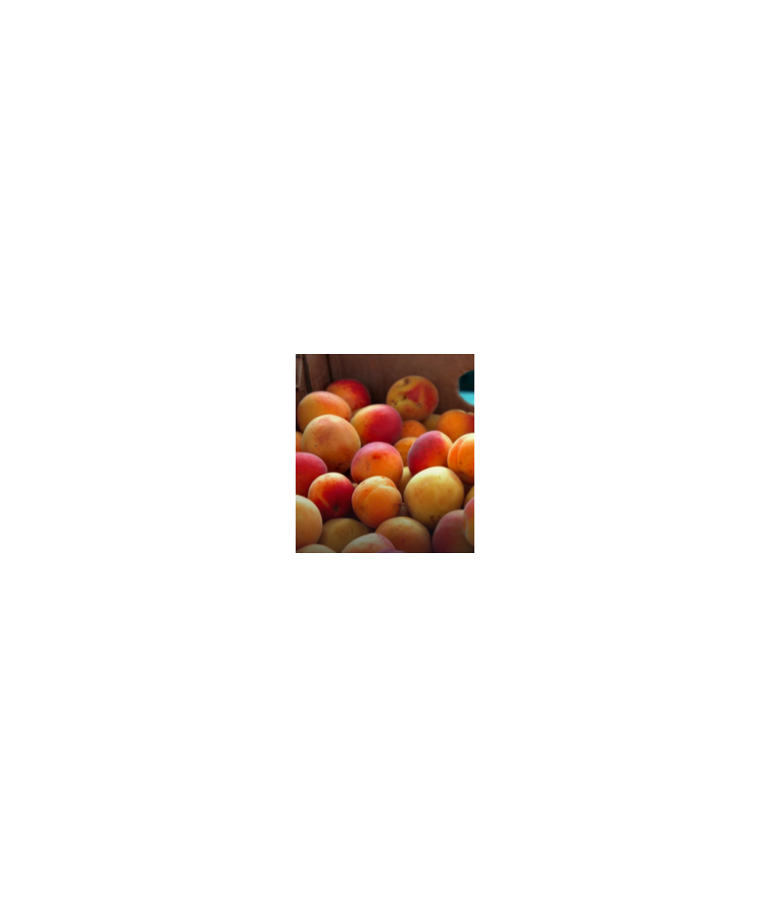Abricots - 500g