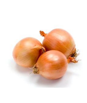 Jeune oignon blanc - 500g