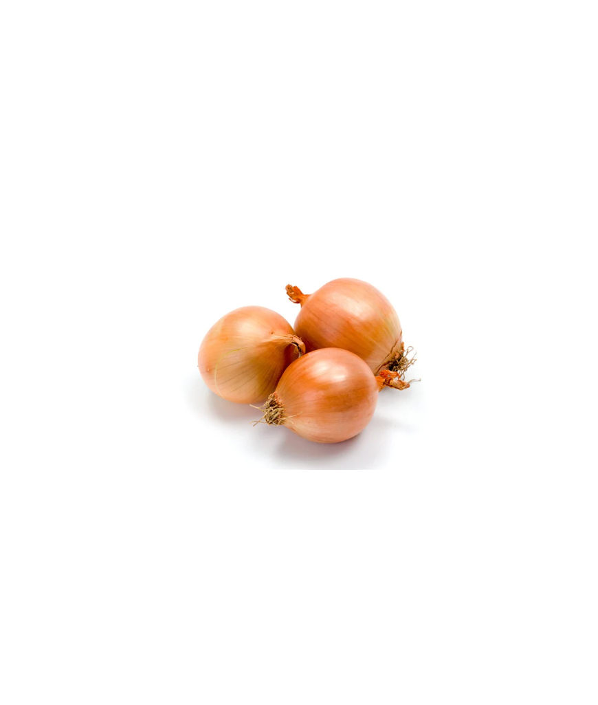 Jeune oignon blanc - 500g