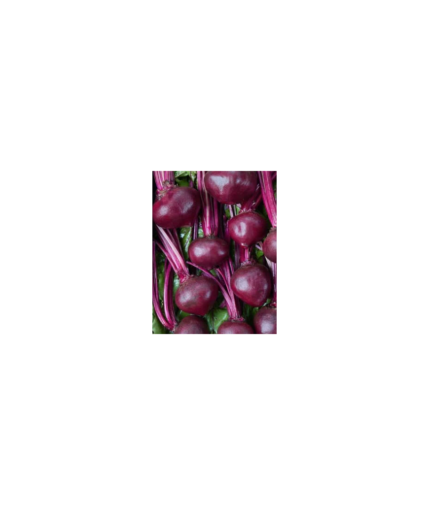 Betterave - 500g