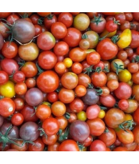 Tomates cerises diverses - 250 g