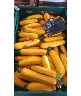 Courgette longue - kg