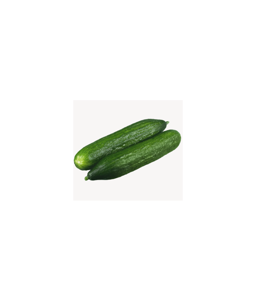 Concombre - 500g