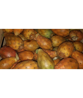 Figue de Barbarie - 1 kg