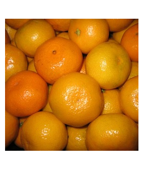 Mandarine surette - 1 kg