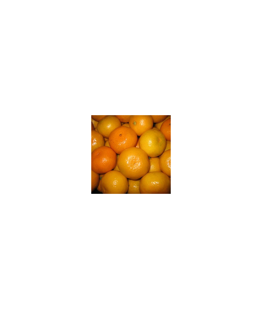 Mandarine surette - 1 kg