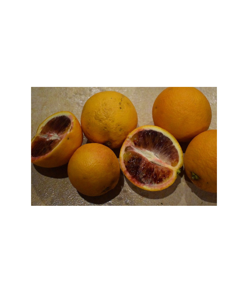 Orange sanguine - 1 kg