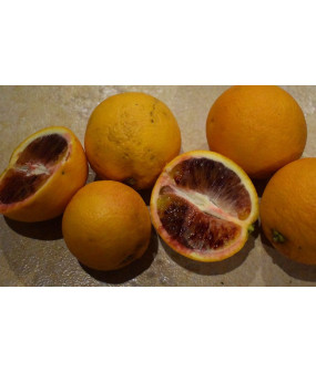 Orange sanguine - 1 kg
