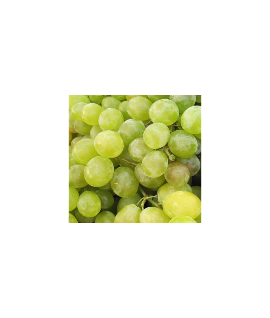 Raisin blanc - 1 kg
