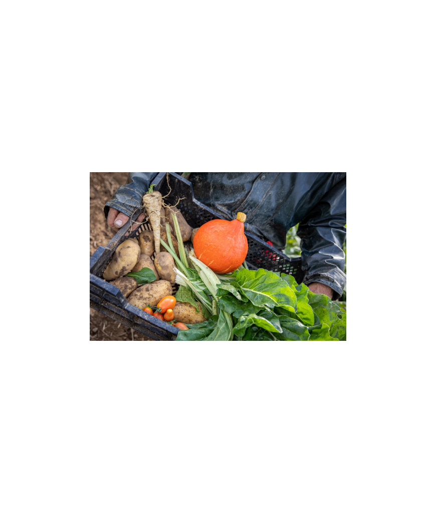 Potimarron - 2kg