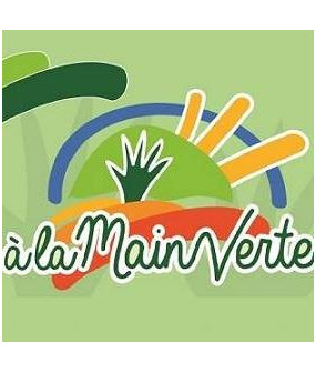 Mûrier sans épine - Unité