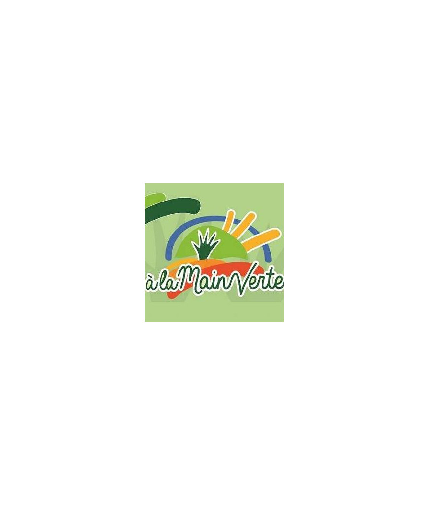 Verveine citron - Unité