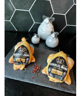 Coquelet jaune - Kg