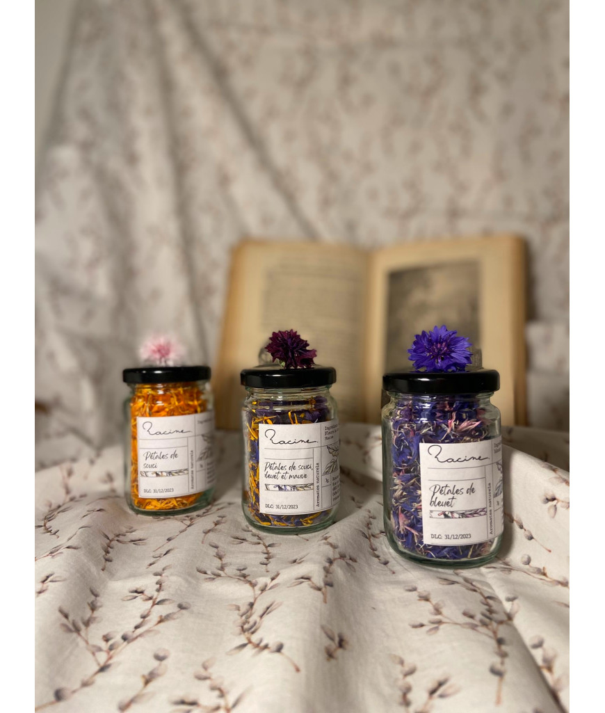 Pétales de mauve