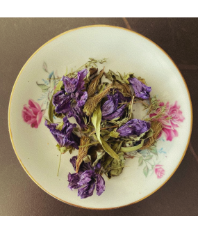 Tisane ORL - Mon inspirante Pauline