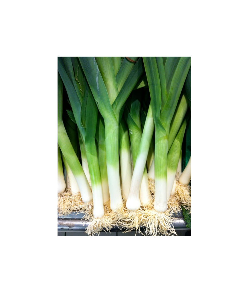 Poireaux - 1kg