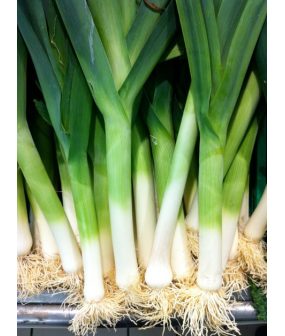 Poireaux - 1kg